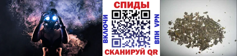 где купить наркотик  Заречный  Бутират бутик 