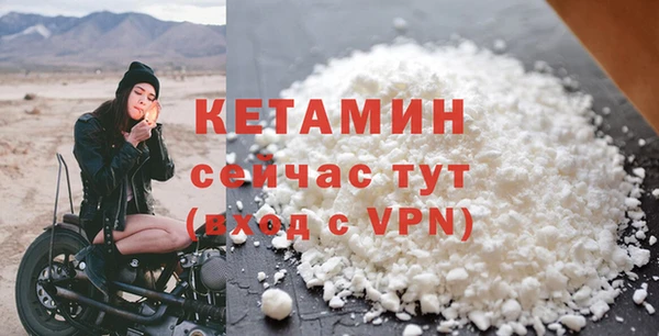 шишки Верея